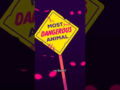 The Most Dangerous Animal thumbnail