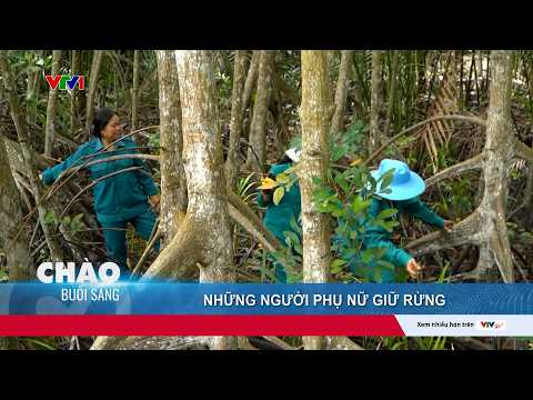 Những người phụ nữ lặng lẽ giữ màu xanh cho rừng ngập mặn Cần Giờ, TP. Hồ Chí Minh | VTV24 thumbnail