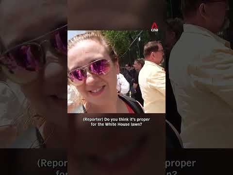 Reactions to White House hosting UFC event thumbnail
