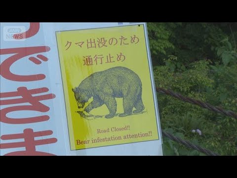 遊歩道で男女がクマに襲われけが　富山・立山町(2026年5月14日) thumbnail