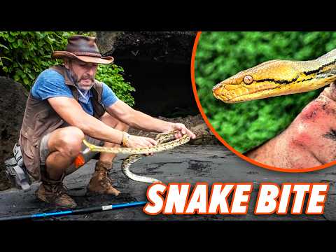 Bitten by a Python in Bali's Cave of Nightmares! thumbnail