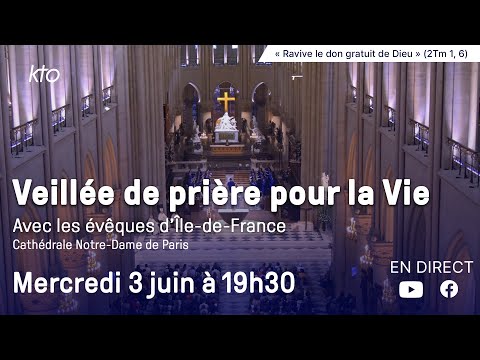 17ème Veillée de prière pour la vie à Notre-Dame de Paris thumbnail