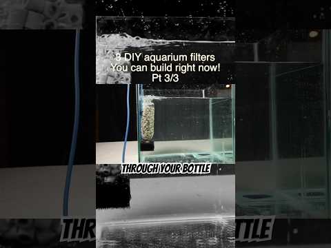 Cheap DIY aquarium fish tank filter!! thumbnail