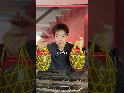 อุเลิฟซ่า #เต้พี่ใหม่ #lovepotion #ซ้อก้าด #ซุงศตาวิน thumbnail