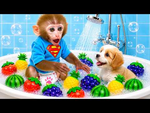 Monkey Baby Bon Bon and the puppy have discovered lots of cute fruit toys. thumbnail