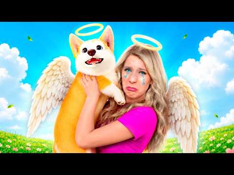 Do all Puppies go to Heaven? thumbnail