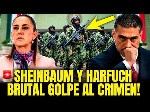 🚨 GOLPAZO DE SHEINBAUM Y HARFUCH CONTRA EL CRIMEN! ACTIVAN FUERZA DE ÉLITE! thumbnail