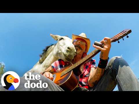 Donkey Snuggles Into Dad's Shoulder Every Time He Plays Guitar | The Dodo thumbnail