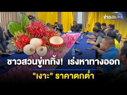 เรียกประชุมด่วน! ก่อนเท “เงาะ” ประท้วง  l ตลาดข่าว - ข่าวเช้าเวิร์คพอยท์ l 3 มิ.ย.69 thumbnail