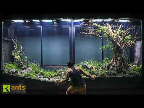 The Insane Creatures I Found in My Giant Grassland Vivarium thumbnail