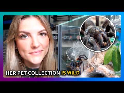 Woman Owns 400 Tarantulas ??️ thumbnail
