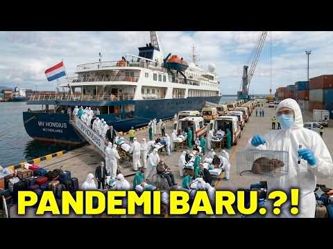 Hantavirus vs COVID-19: Apakah Sejarah Kelam Bakal Terulang Lagi? thumbnail