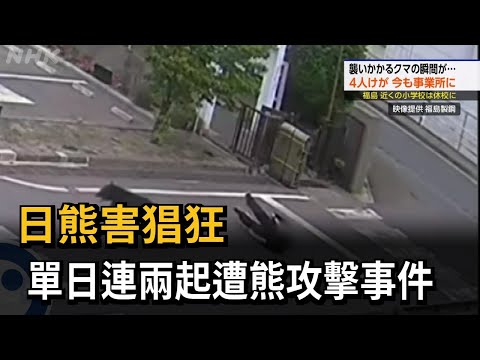 日本熊害猖狂！ 福島工廠4傷 員工遭熊追、撲倒－民視新聞 thumbnail