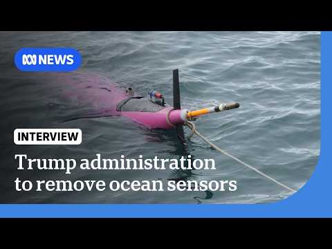 Trump administration to sink key ocean monitoring system | The World | ABC NEWS thumbnail