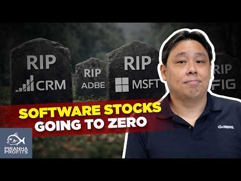 Software Stocks Going to Zero? by Adam Khoo thumbnail