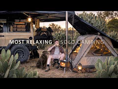 Relaxing SOLO Camping in Australian Bush with my Dog 🌵 Organized Car | Cozy Campfire Comfort ASMR thumbnail