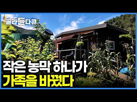 평일엔 펄펄 끓는 콘크리트 바닥, 주말엔 1박 2일 가야산 밑 5성급 호텔 부럽지 않은 나만의 아지트! 100% 자급자족 농막 바캉스┃시골집 귀촌┃텃밭 먹방┃한국기행┃#골라듄다큐 thumbnail