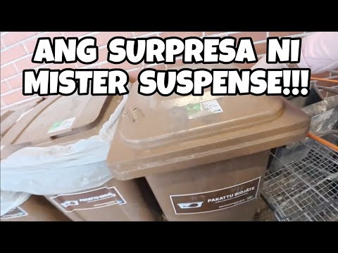 MULA BIGAS HANGGANG DESSERT ANG NAPULOT KAY MR. BIN | DUMPSTER DIVING IN FINLAND | THAI-FINNISH  thumbnail