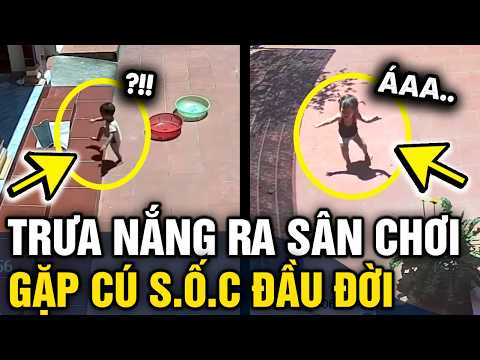 Lén RA SÂN CHƠI giữa cái nắng 39 độ, các búp măng non KHÓC THÉT vì cú sốc đầu đời | Tin 3 Phút thumbnail