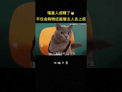 喵星人成精了，不仅会购物还能替主人去上班#动物 #猫 #电影 #解说 thumbnail