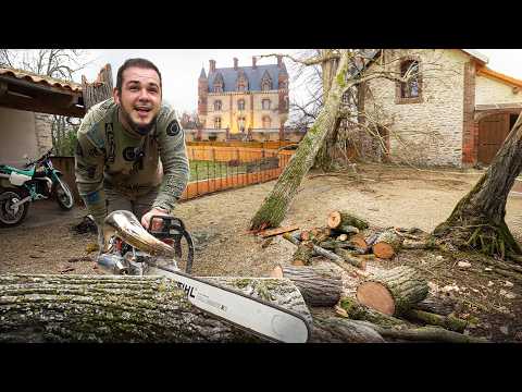 Un arbre a faillit écrouler mon château ! thumbnail