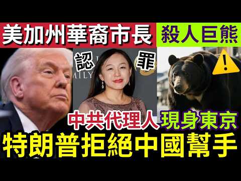 中國出事！訪華前夕「美國公布」成功逮捕「中共代理人」加州市市長「王愛琳認罪！」特朗普稱「拒絕中國幫忙」伊朗戰爭「自己搞掂！」日本巨熊「殺入東京！」14/5世界大大鑊「國際新聞大集合」 thumbnail