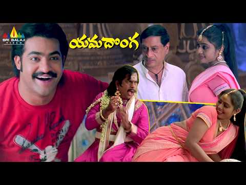 NTR & Brahmanandam Ultimate Comedy | Yamadonga | Telugu Comedy Movie Scenes @SriBalajiComedy thumbnail