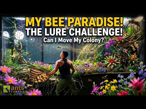 Lure Challenge: Creating a Bee Paradise in My Giant Vivarium thumbnail