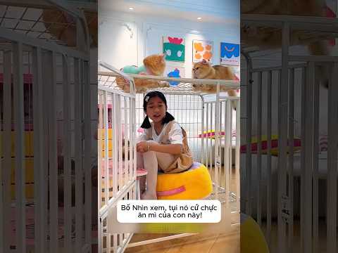Giấu Thú Cưng & Giải Cứu Hamster! 🐶🐹😱 thumbnail