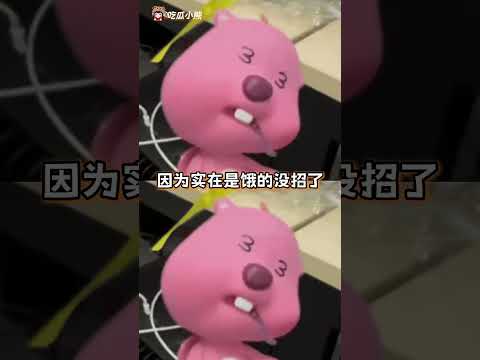 终于理解什么叫“规矩是死的人是活的”了 #留学生  #外国人  #搞笑 #老铁娱乐观察站  #搞笑 #大熱門 #万万没想到 thumbnail