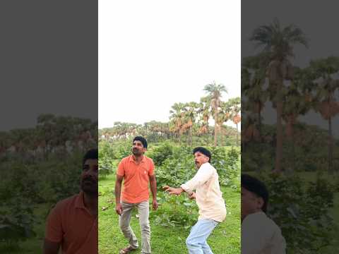 chidiya ko maarte hi uske bacche pareshan #youtubeshorts #viralvideo #chidyaviral thumbnail