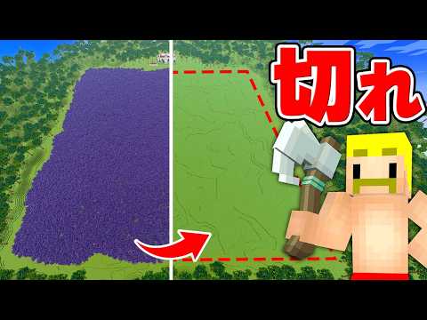 トラック4万台分以上の超広い森の木をすべて切るまで終われません！【マイクラ】 thumbnail
