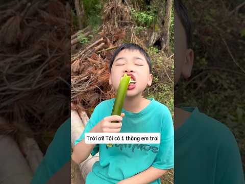 Em trai tôi rất thích ăn mía thumbnail