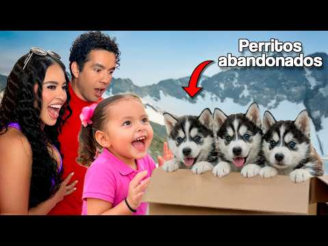 ¡RESCATAMOS A PERRITOS PÉRDIDOS! ¿Nos quedaremos con ellos? thumbnail