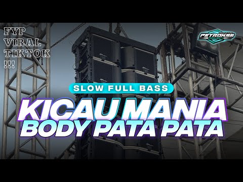 DJ KICAU MANIA X BODY PATA PATA SLOW FULL BASS VIRAL TERBARU thumbnail