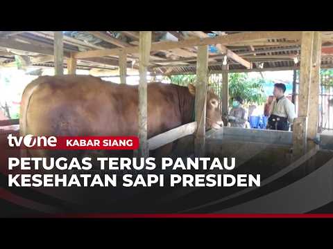 Pemeriksaan Kesehatan Sapi Kurban Presiden Prabowo | Kabar Siang thumbnail