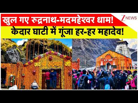 Rudranath Dham Door Open : खुल गए रुद्रनाथ-मदमहेश्वर धाम! केदार घाटी में गूंजा हर-हर महादेव! thumbnail
