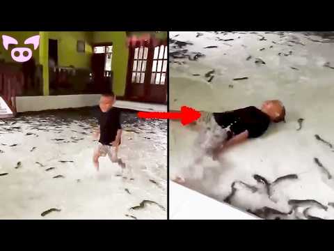 40 Fallas en la Vida Real Capturadas en la Cámara thumbnail