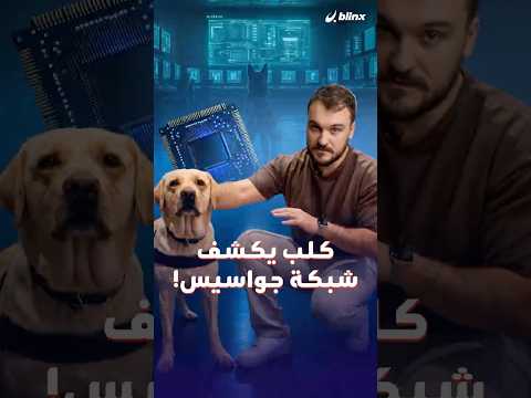 كيف يستطيع كلب بوليسي كشف الشرائح الإلكترونية؟ وكيف لشرطي إلكتروني قيادة مركز شرطة؟ thumbnail
