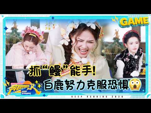 【抓鳗鱼?️】乱成一锅粥了！白鹿努力克服恐惧抓鳗鱼 孟子义说着最温柔的话抓最快的鱼 李晨抓鳗鱼全员帮忙 #奔跑吧14 thumbnail