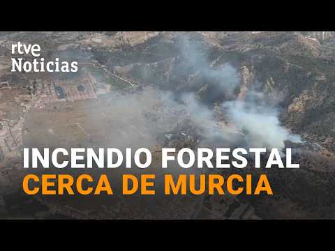250 EFECTIVOS trabajan en un INCENDIO FORESTAL en el PARQUE REGIONAL de EL VALLE | RTVE Noticias thumbnail