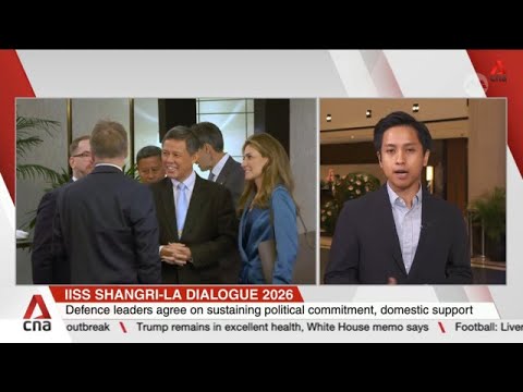 Defence ministers at Shangri-La Dialogue agree on importance of credible ties to secure global peace thumbnail