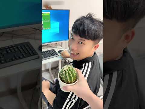 Dùng cây xương rồng để chị anh 2 mê game !! thumbnail