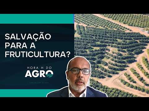 Abrafrutas projeta alívio com avanço do 'PL dos Safristas' | HORA H DO AGRO thumbnail