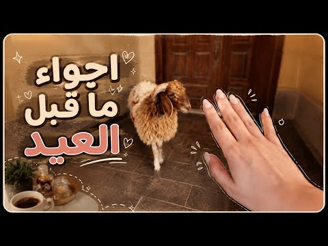 فعاليات عيد الاضحى 🐏| اجواء ماقبل العيد 💃🏻😍  thumbnail