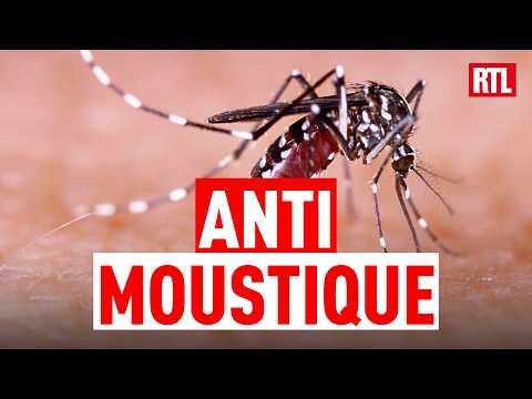 Moustiques : attention aux fausses solutions miracles ! thumbnail