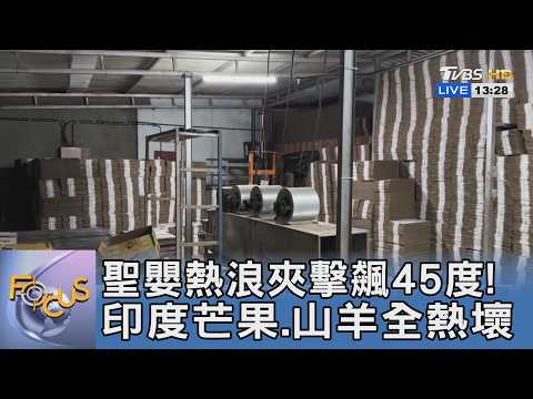 聖嬰熱浪夾擊飆45度! 印度芒果、山羊全熱壞｜FOCUS午間新聞 20260604 @TVBSNEWS01 thumbnail