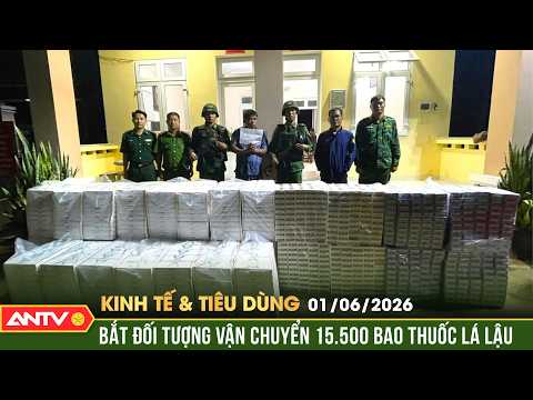 Bắt giữ lô hàng 15.500 bao thuốc lá lậu ở Tây Ninh | Bản tin kinh tế và tiêu dùng ngày 1/6 | ANTV thumbnail