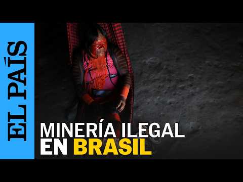 MINERÍA ILEGAL acaba con zonas protegidas gracias a permisos fantasma | EL PAÍS thumbnail