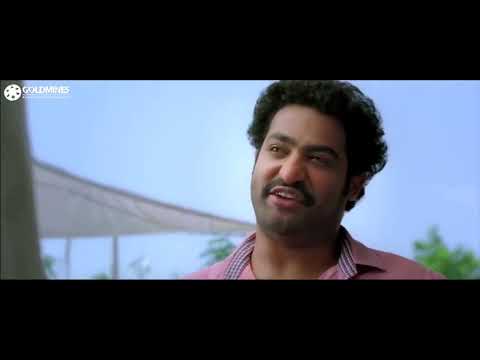 Dhammu (HD) | Jr NTR Birthday Superhit Action Movie | Trisha Krishnan, Karthika Nair | धम्मू thumbnail